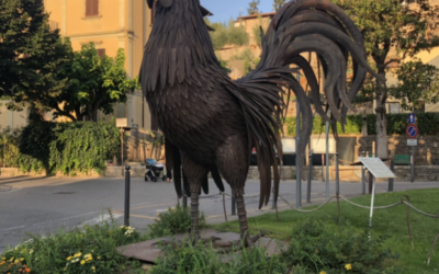 Dove nascono i confini di denominazione