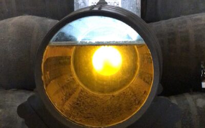 Il sorso di un tempo: storie di vino