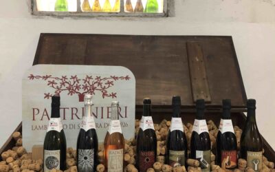 Tra vigne e cantine: viaggi di vino