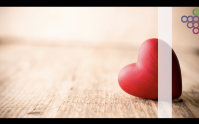 I 5 vini per il tuo San Valentino